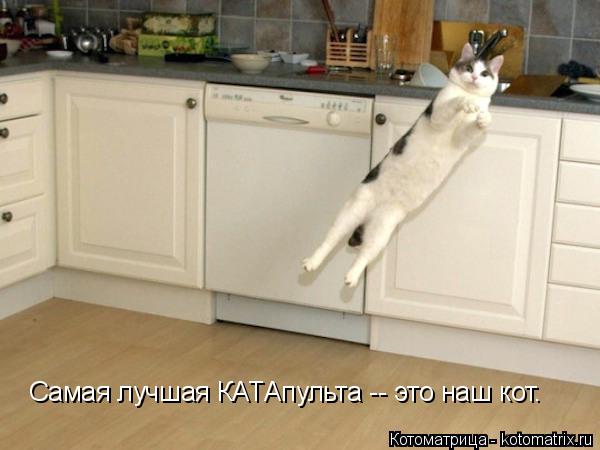 Самая лучшая КАТАпульта -- это наш кот.... Котоматрица: Самая лучшая КАТАпульта -- это наш кот.