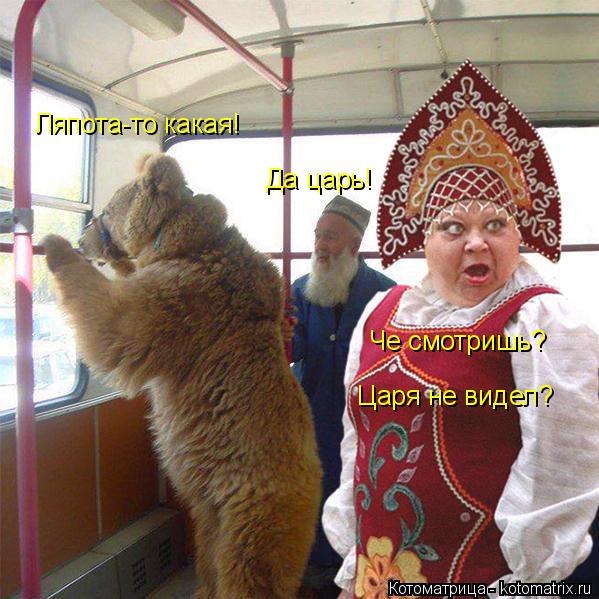 Котоматрица: Ляпота-то какая! Да царь! Че смотришь? Царя не видел?