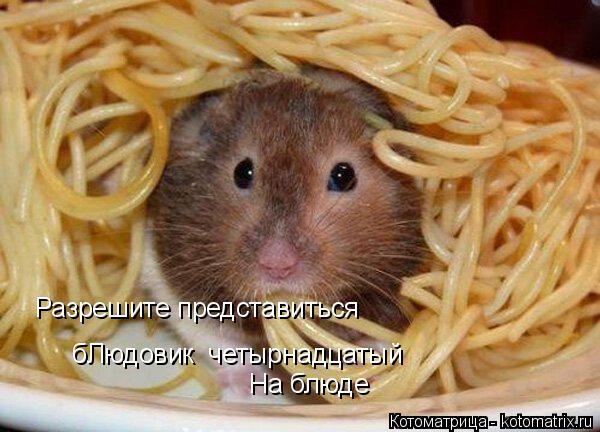 Котоматрица: Разрешите представиться бЛюдовик  четырнадцатый На блюде