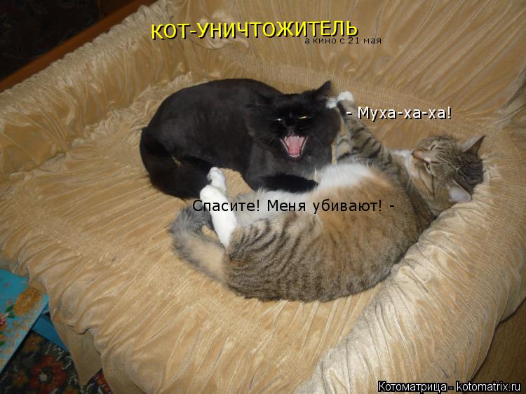 Котоматрица: КОТ-УНИЧТОЖИТЕЛЬ а кино с 21 мая Спасите! Меня убивают! -  - Муха-ха-ха!