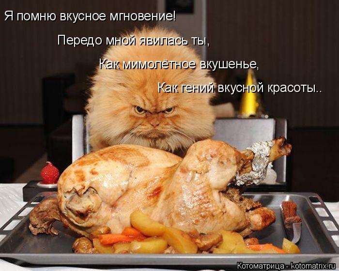 Котоматрица: Я помню вкусное мгновение! Передо мной явилась ты, Как мимолётное вкушенье, Как гений вкусной красоты..