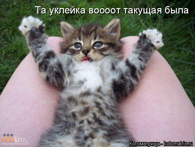 Котоматрица: Та уклейка воооот такущая была