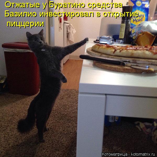 Котоматрица: Отжатые у Буратино средства Базилио инвестировал в открытие пиццерии