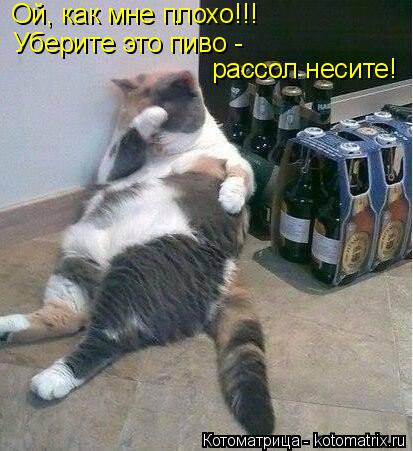 Ой, как мне плохо!!! Уберите это пиво - рассол несите!... Котоматрица: Ой, как мне плохо!!! Уберите это пиво - рассол несите!