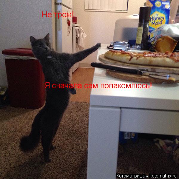 Котоматрица: Не трож Не трож! Я сначала сам полакомлюсь!