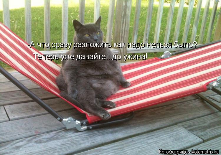 Котоматрица: -А что,сразу разложить как надо нельзя было? Теперь уже давайте...до ужина!