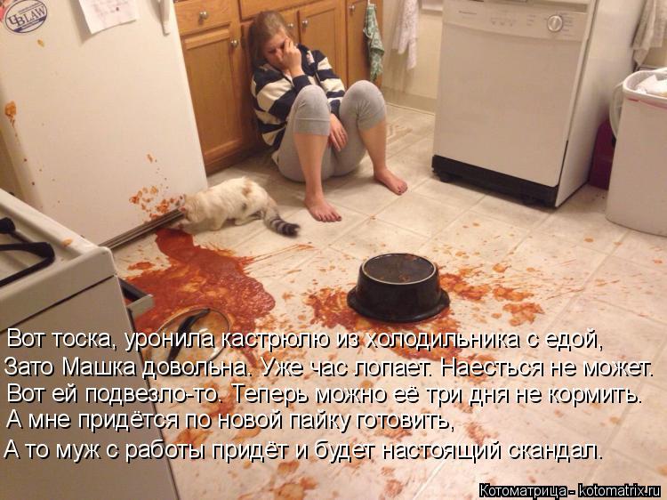Вот тоска, уронила кастрюлю из холодильника с едой, Зато Машка довольна. Уже час лопает. Наесться не ... Котоматрица: Вот тоска, уронила кастрюлю из холодильника с едой, Зато Машка довольна. Уже час лопает. Наесться не может. Вот ей подвезло-то. Теперь можно е