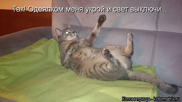 Котоматрица: Так! Одеялком меня укрой и свет выключи...