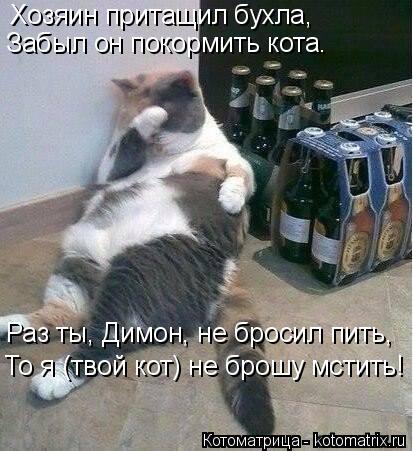 Хозяин притащил бухла, Забыл он покормить кота. Раз ты, Димон, не бросил пить, То я (твой кот) не бро... Котоматрица: Хозяин притащил бухла, Забыл он покормить кота. Раз ты, Димон, не бросил пить, То я (твой кот) не брошу мстить!