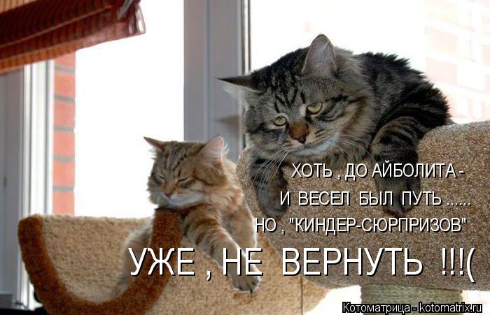 Котоматрица: ХОТЬ , ДО АЙБОЛИТА - И  ВЕСЕЛ  БЫЛ  ПУТЬ ...... НО , "КИНДЕР-СЮРПРИЗОВ" УЖЕ , НЕ  ВЕРНУТЬ  !!!(