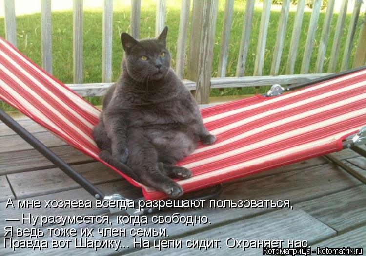 А мне хозяева всегда разрешают пользоваться, — Ну разумеется, когда свободно. Я ведь тоже их член сем... Котоматрица: А мне хозяева всегда разрешают пользоваться, — Ну разумеется, когда свободно. Я ведь тоже их член семьи. Правда вот Шарику... На цепи сидит. О
