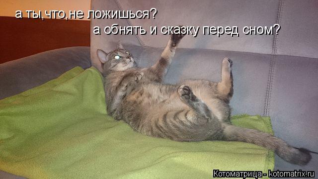 Котоматрица: а ты,что,не ложишься? а обнять и сказку перед сном?
