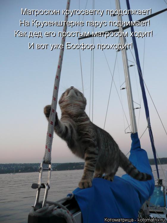Котоматрица: Матроскин кругосветку продолжает! На Крузенштерне парус поднимает! Как дед его простым матросом ходит! И вот уже Босфор проходит!