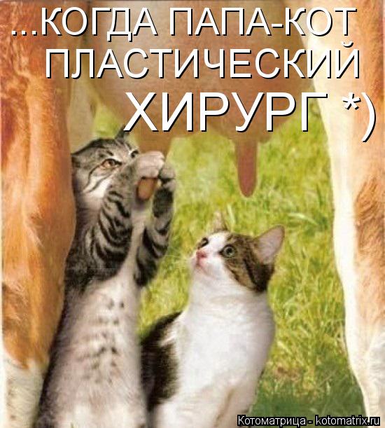 ...КОГДА ПАПА-КОТ ПЛАСТИЧЕСКИЙ ХИРУРГ *)... Котоматрица: ...КОГДА ПАПА-КОТ ПЛАСТИЧЕСКИЙ ХИРУРГ *)