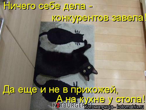 Котоматрица: Ничего себе дела -  конкурентов завела! Да еще и не в прихожей, А на кухне у стола!
