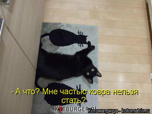 - А что? Мне частью ковра нельзя стать?... Котоматрица: - А что? Мне частью ковра нельзя стать?