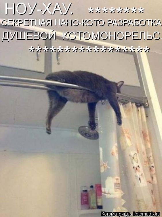 НОУ-ХАУ. СЕКРЕТНАЯ НАНО-КОТО РАЗРАБОТКА ДУШЕВОЙ КОТОМОНОРЕЛЬС. ***************** ********... Котоматрица: НОУ-ХАУ. СЕКРЕТНАЯ НАНО-КОТО РАЗРАБОТКА ДУШЕВОЙ КОТОМОНОРЕЛЬС. ***************** ********