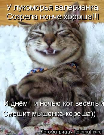 Котоматрица: У лукоморья валерианка Созрела нонче хороша!!! Смешит мышонка-кореша)) И днём , и ночью кот весёлый