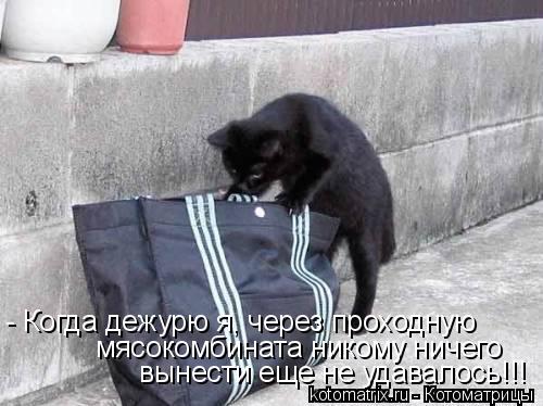 Котоматрица: - Когда дежурю я, через проходную мясокомбината никому ничего  вынести еще не удавалось!!!