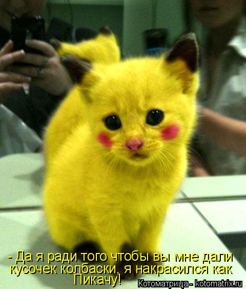 Котоматрица: - Да я ради того чтобы вы мне дали  кусочек колбаски, я накрасился как  Пикачу!