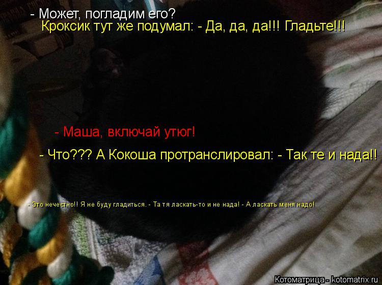 Котоматрица: - Может, погладим его? Кроксик тут же подумал: - Да, да, да!!! Гладьте!!! - Маша, включай утюг! - Что??? А Кокоша протранслировал: - Так те и нада!! - Это