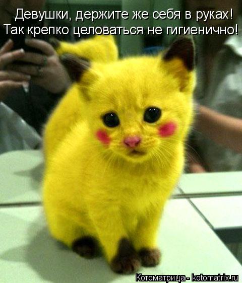 Девушки, держите же себя в руках! Так крепко целоваться не гигиенично!... Котоматрица: Девушки, держите же себя в руках! Так крепко целоваться не гигиенично!