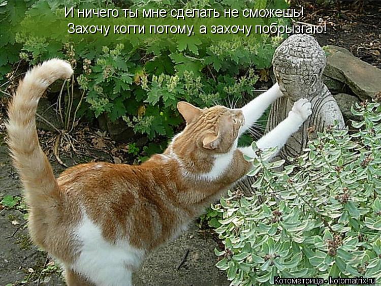 Котоматрица: И ничего ты мне сделать не сможешь!  Захочу когти потому, а захочу побрызгаю!