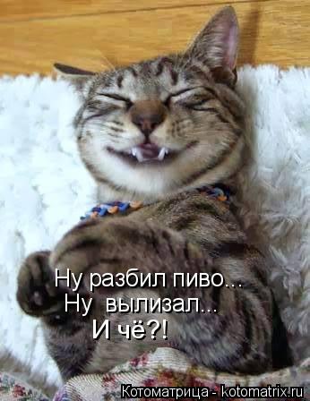 Котоматрица: Ну разбил пиво... Ну  вылизал... И чё?!