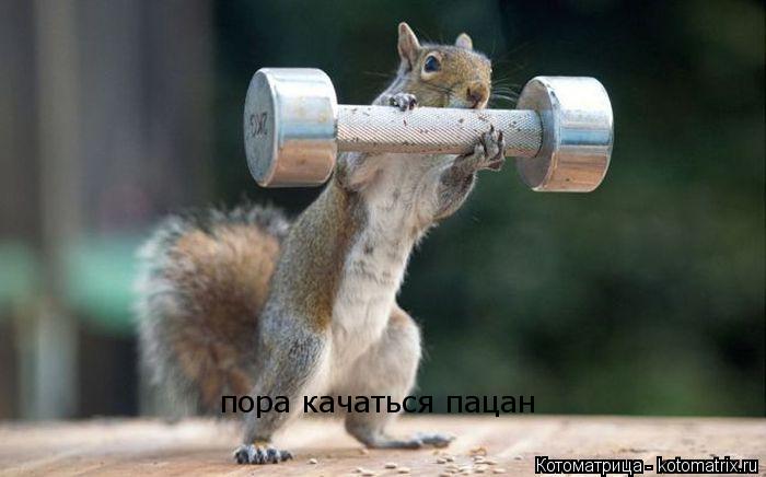Котоматрица: пора качаться пацан