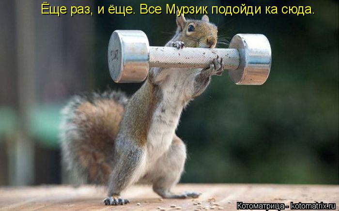Котоматрица: Ёще раз, и ёще. Все Мурзик подойди ка сюда.