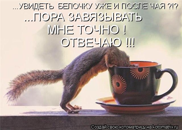 Котоматрица: ...УВИДЕТЬ  БЕЛОЧКУ УЖЕ И ПОСЛЕ ЧАЯ ?!? ...ПОРА ЗАВЯЗЫВАТЬ  МНЕ ТОЧНО ! ОТВЕЧАЮ !!!