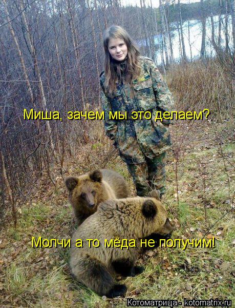 Котоматрица: Миша, зачем мы это делаем? Молчи а то мёда не получим!