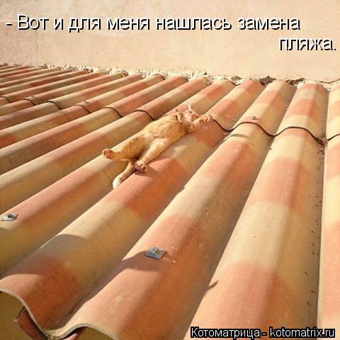 - Вот и для меня нашлась замена пляжа.... Котоматрица: - Вот и для меня нашлась замена пляжа.