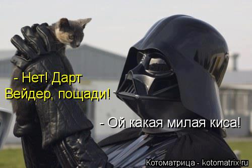 - Ой какая милая киса! - Нет! Дарт Вейдер, пощади!... Котоматрица: - Ой какая милая киса! - Нет! Дарт Вейдер, пощади!