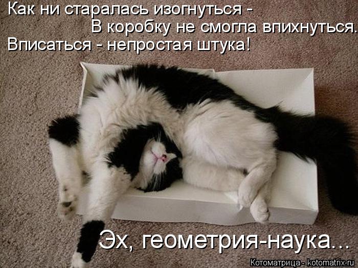 Как ни старалась изогнуться - В коробку не смогла впихнуться. Вписаться - непростая штука! Эх, геомет... Котоматрица: Как ни старалась изогнуться - В коробку не смогла впихнуться. Вписаться - непростая штука! Эх, геометрия-наука...