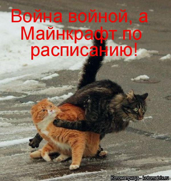 Война войной, а Майнкрафт по расписанию!... Котоматрица: Война войной, а Майнкрафт по расписанию!