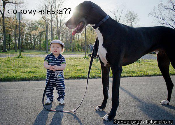 кто кому нянька??... Котоматрица: кто кому нянька??