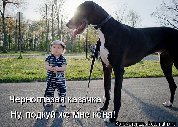 Черноглазая казачка! Ну, подкуй же мне коня!... Котоматрица: Черноглазая казачка! Ну, подкуй же мне коня!