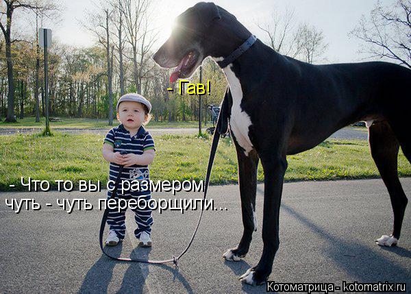 чуть - чуть переборщили... - Гав! - Что то вы с размером... Котоматрица: чуть - чуть переборщили... - Гав! - Что то вы с размером