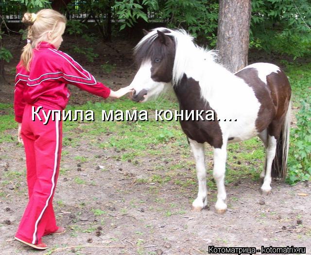 Купила мама коника....... Котоматрица: Купила мама коника....