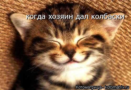 Котоматрица: когда хозяин дал колбаски
