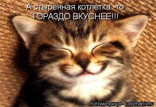 Котоматрица: А стыренная котлетка -то  ГОРАЗДО ВКУСНЕЕ!!!
