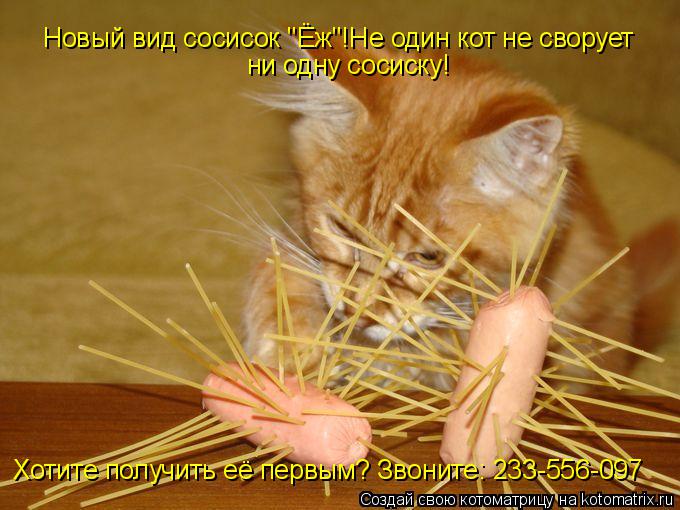 Новый вид сосисок "Ёж"!Не один кот не сворует ни одну сосиску! Хотите получить её первым? Звоните: 2... Котоматрица: Новый вид сосисок "Ёж"!Не один кот не сворует ни одну сосиску! Хотите получить её первым? Звоните: 233-556-097