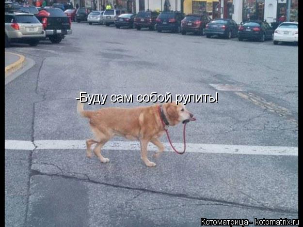 -Буду сам собой рулить!... Котоматрица: -Буду сам собой рулить!