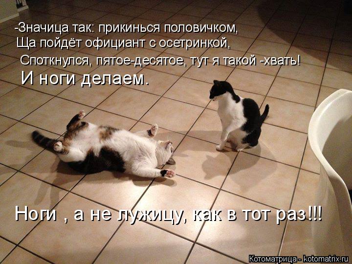 Котоматрица: -Значица так: прикинься половичком, Ща пойдёт официант с осетринкой, Споткнулся, пятое-десятое, тут я такой -хвать! И ноги делаем. Ноги , а не л