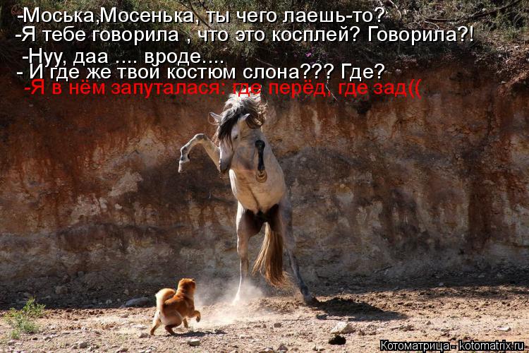 -Моська,Мосенька, ты чего лаешь-то? -Я тебе говорила , что это косплей? Говорила?! -Нуу, даа .... вро... Котоматрица: -Моська,Мосенька, ты чего лаешь-то? -Я тебе говорила , что это косплей? Говорила?! -Нуу, даа .... вроде.... - И где же твой костюм слона??? Где? -Я в нём