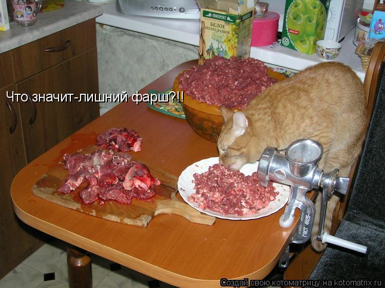 Что значит-лишний фарш?!!... Котоматрица: Что значит-лишний фарш?!!