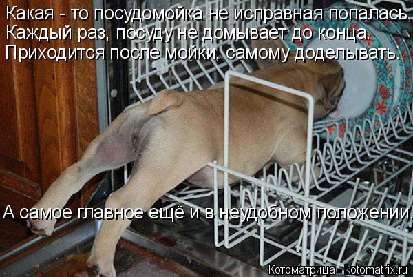 Какая - то посудомойка не исправная попалась, Каждый раз, посуду не домывает до конца. Приходится пос... Котоматрица: Какая - то посудомойка не исправная попалась, Каждый раз, посуду не домывает до конца. Приходится после мойки, самому доделывать. А самое гла