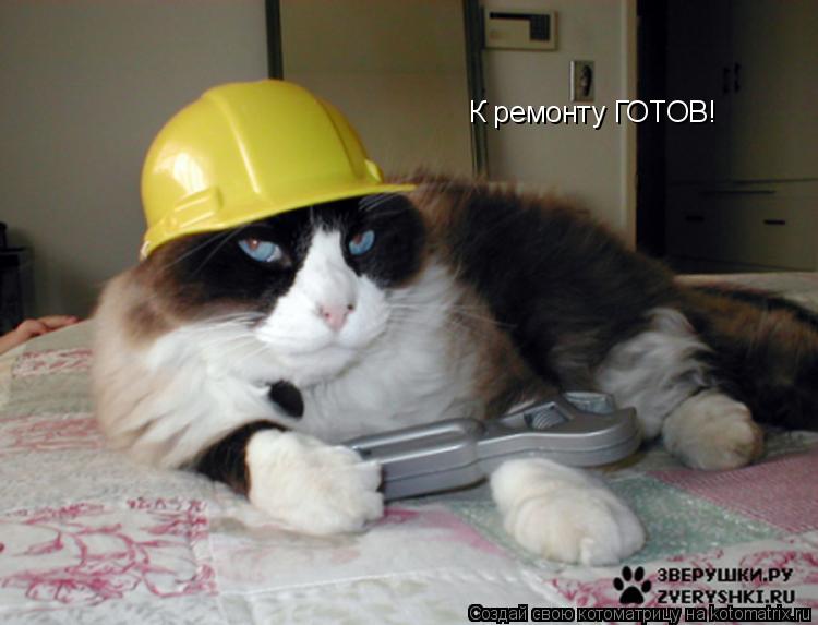 К ремонту ГОТОВ!... Котоматрица: К ремонту ГОТОВ!