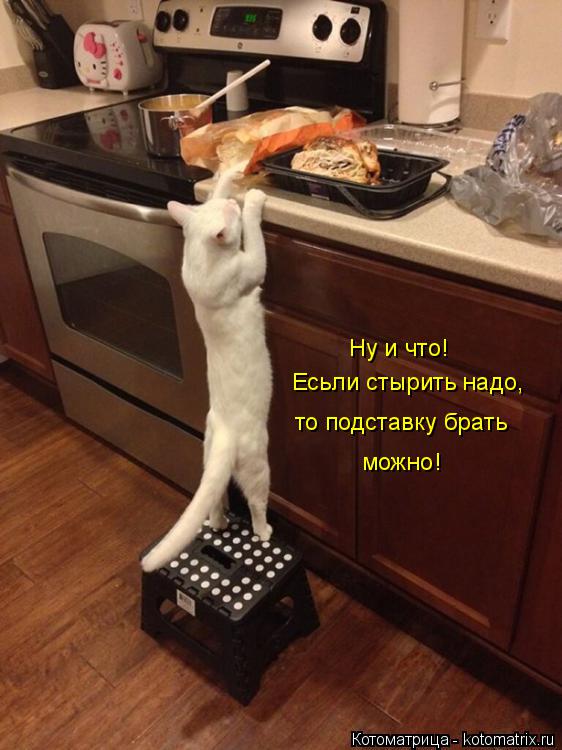 Ну и что! Есьли стырить надо, то подставку брать можно!... Котоматрица: Ну и что! Есьли стырить надо, то подставку брать можно!